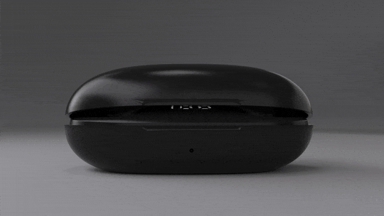 EchoLabs AudioBuds
